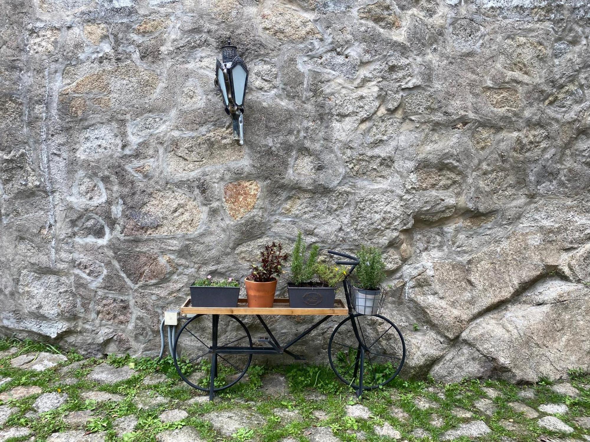 Casa Dona Olga River View Porto Buitenkant foto